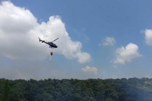 Vetralla - Incendio nel bosco di Monte Fogliano