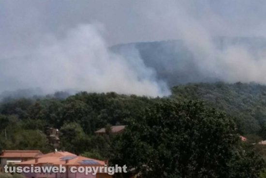 Vetralla - Incendio nel bosco di Monte Fogliano