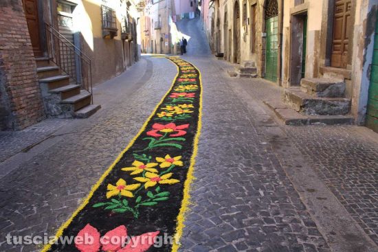 Canepina - Infiorata in occasione di Santa Corona