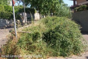 Viterbo - Giardini viterbesi nel degrado