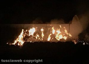 Tuscania - L'incendio sulla Vetrallese con le balle in fiamme