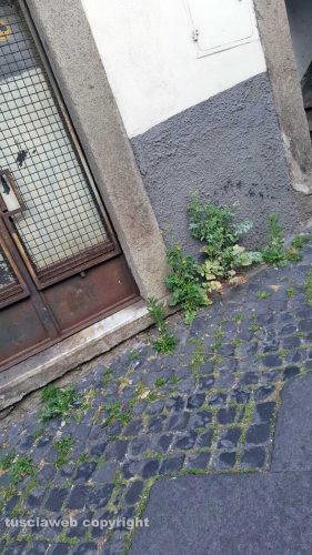 Bagnaia - Degrado nel borgo