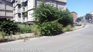 Viterbo - Degrado in via Monti Cimini
