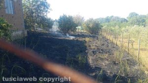 Vitorchiano - Terreni in fiamme in strada S. Cataldo