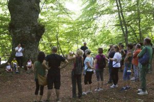 Sport - La camminata “Walk for the cure”