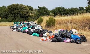 L'isola ecologica di Colleverde
