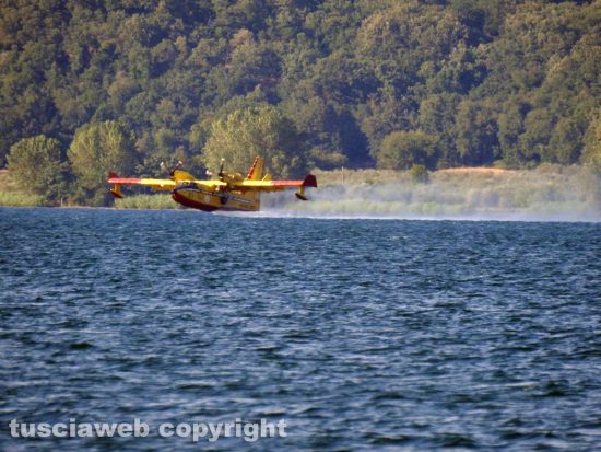 Lago di Bolsena - Il canadair al lavoroLago di Bolsena - Il canadair al lavoro