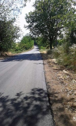 Viterbo - Ferento - La strada asfaltata