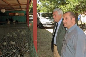 Viterbo - La mostra mercato Animali da cortile