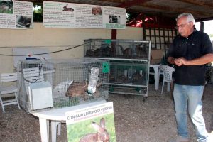 Viterbo - La mostra mercato Animali da cortile