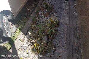 Viterbo - Degrado e sporcizia in zona Trinità