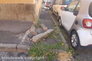 Viterbo - Degrado e sporcizia in zona Trinità