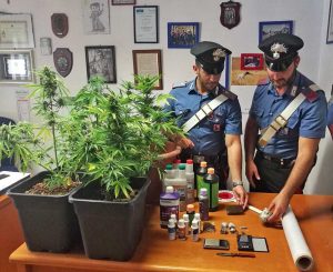 Ladispoli - La droga e il materiale sequestrato dai carabinieri