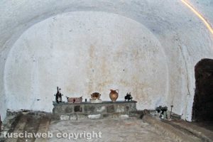 IMG_2834