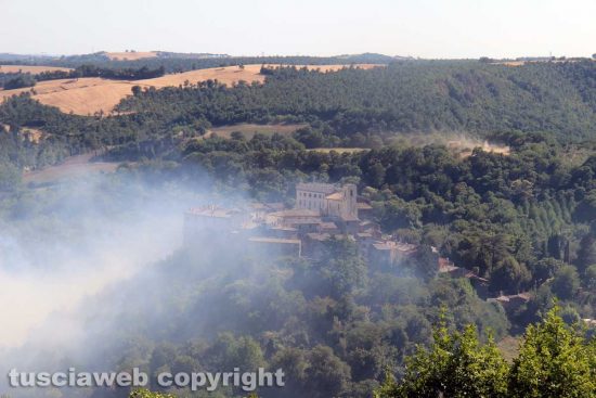 Viterbo - Vastissimo incendio a Sant'Angelo di Roccalvecce