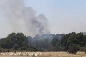 Viterbo - Incendio in zona Riello