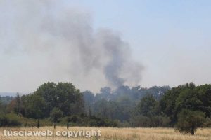 Viterbo - Incendio in zona Riello
