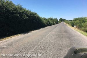 Valentano - La strada Castrense