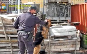 Guardia di finanza - Operazione Alì Babà