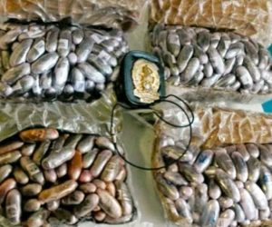 Guardia di finanza - Operazione Alì Babà - La droga sequestrata