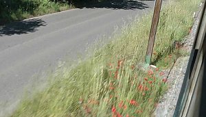 Faleri, lato sinistro della Ferrovia verso Viterbo