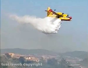 Viterbo - Vastissimo incendio a Sant'Angelo di Roccalvecce - L'intervento dei vigili del fuoco