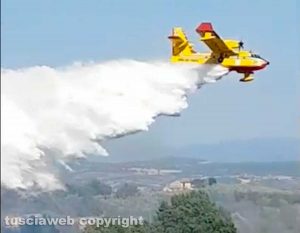 Viterbo - Vastissimo incendio a Sant'Angelo di Roccalvecce - L'intervento dei vigili del fuoco