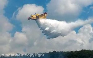 Un canadair dei vigili del fuoco
