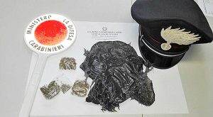 Viterbo - Carabinieri - La droga sequestrata a prato giardino Lucio Battisti