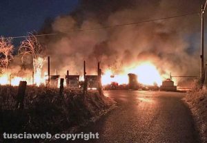 Viterbo - Cassonetti in fiamme alla Volpara