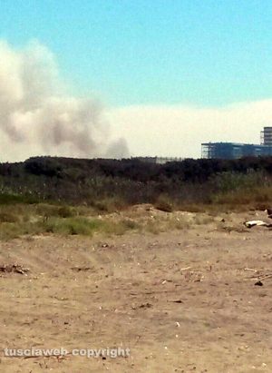 Incendio di sterpaglie a Montalto di Castro 