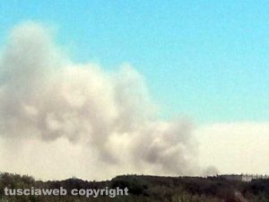 Incendio di sterpaglie a Montalto di Castro 