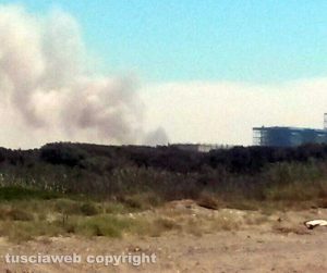 Incendio di sterpaglie a Montalto di Castro