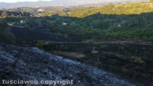 Celleno - incendio - Bosco e sterpaglie in fiamme