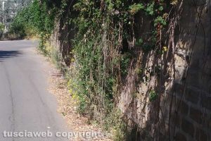 Viterbo - Via Petroselli