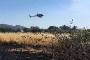Latera - Bosco in fiamme