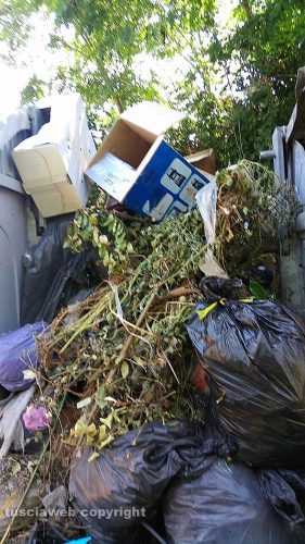 Viterbo - Strada Cassia nord - Discarica a cielo aperto