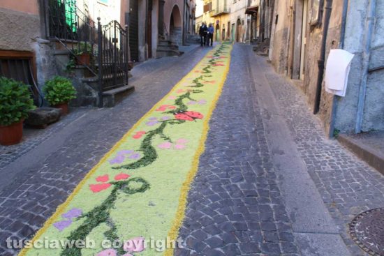 Canepina - Infiorata in occasione di Santa Corona