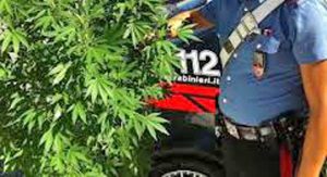 Un sequestro dei carabinieri
