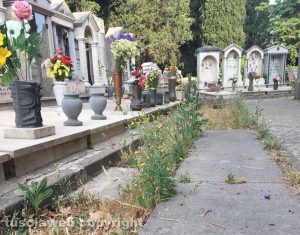 Viterbo - Cimitero S. Lazzaro