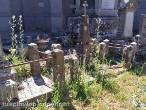 Viterbo - Erbacce al cimitero San Lazzaro