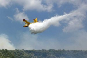 Vetralla - Incendio nel bosco di Monte Fogliano