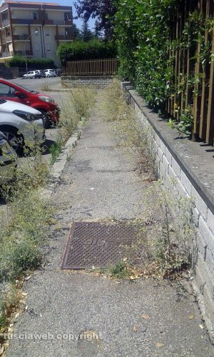 Viterbo - Erbacce in via Rosmini