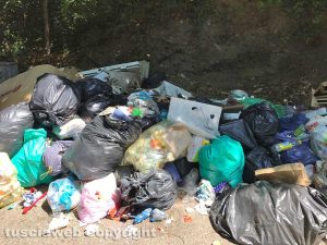 Viterbo - Discarica a cielo aperto all'inizio di strada Palomba