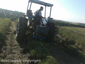 Tuscania - Lavori in un campo di lavanda