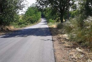 Viterbo - Ferento - La strada asfaltata