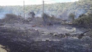 Vetralla - Incendio al bosco di Monte Fogliano