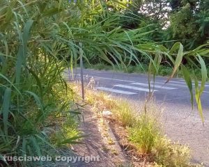 Montefiascone - Località Fastello - Marciapiedi nel degrado