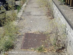 Le erbacce sui marciapiedi di via Rosmini