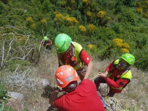 Ricerche in corso 